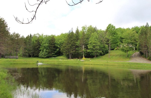 La Patrie Other | Explore Nature: Camping at Mont Mégantic with Ocean Views