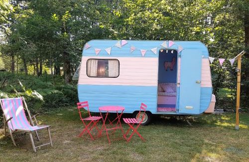 Chalandray Other | Family-Friendly Camping Bois de St Hilaire with Ocean Views