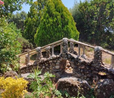 Jarandilla de la Vera Other | Relaxing Camping Bungalows with Pool and Pet-Friendly Options