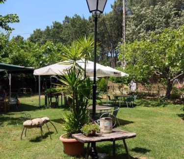 Jarandilla de la Vera Other | Relaxing Camping Bungalows with Pool and Pet-Friendly Options