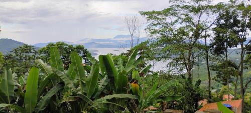 Paraty Other | Camping Cítara