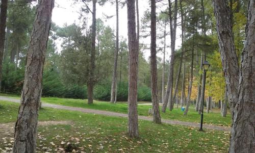 Cuenca Other | Pet-Friendly Camping Caravaning Cuenca with Oceanfront Pool