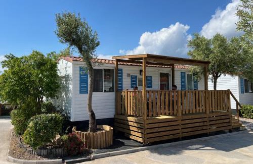 Sithonia Other | Experience Camping Castello: Private Beach & Ocean Views
