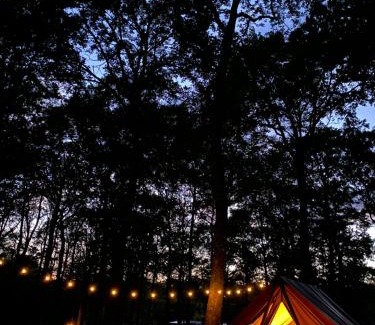 Sille-le-Guillaume Other | Family-Friendly Camping de la Forêt with Unique Amenities