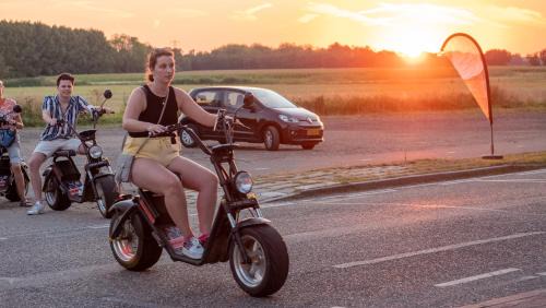 Bergharen Other | Cozy Camping de Tolbrug: Family-Friendly & Pet Welcoming