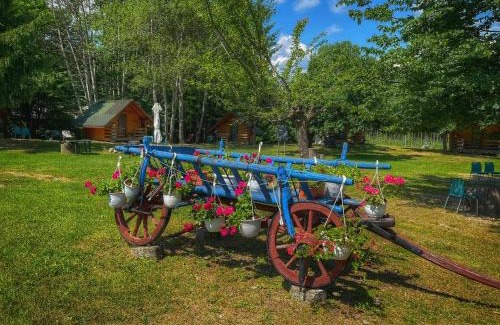Ciofrangeni Other | Budget-Friendly Retreat at Camping Dragoske with Top Ratings