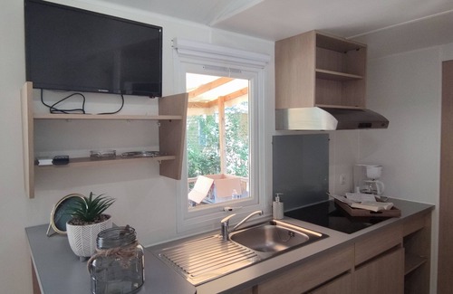 Avignon RV Rental | Pet Friendly Camping Du Pont D'Avignon with Pool & Dining
