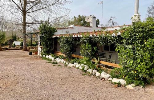 Fuenteheridos Other | Explore Camping El Madroñal: Pet-Friendly Retreat with Pool