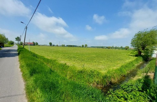 Sint-Pieters Other | Pet-Friendly Camping Groenhove: Your Perfect Getaway Retreat