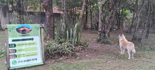 Pati Valley Other | Pet-Friendly Camping Guapira with Breakfast for Families