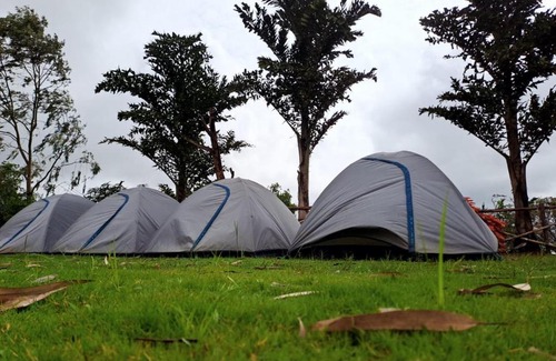Thakursai Other | Discover Pawna Lake Camping: Pet-Friendly Getaway Awaits
