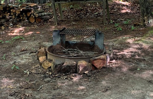 Covington Cabin | Explore The Clubhouse in the Woods - Family-Friendly Retreat