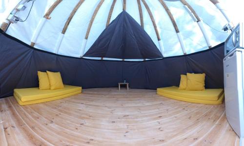 Sha'al Other | Family-Friendly Camping at Indiani Jones - Perfect Escape!