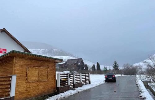 Petrestii de Jos House | Camping La Ozan