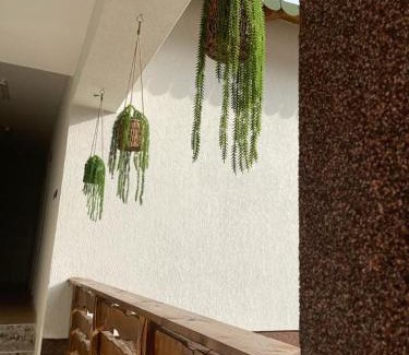Petrestii de Jos House | Camping La Ozan