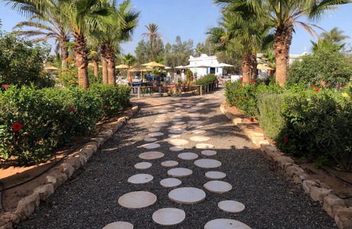 Sidi Bibi Other | Oceanfront Camping La Palmeraie Tifnit with Pool & Dining