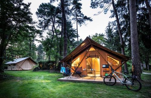 Excenevex Other | Experience Oceanfront Bliss at Camping La Pinède
