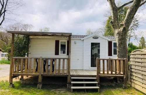 Massillargues-Attuech Other | Discover Camping le Fief d'Anduze: Pet-Friendly Retreat