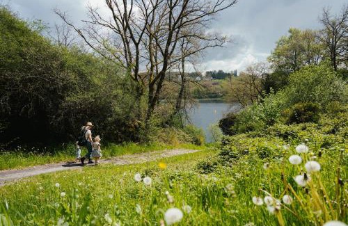 Luxembourg Ardennes Other | Family-Friendly Camping Liefrange with Restaurant Amenities