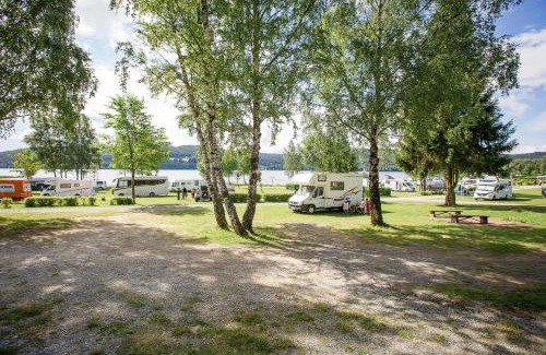 Lipno nad Vltavou Other | Pet-Friendly Camping Lipno Modřín for Family Adventures