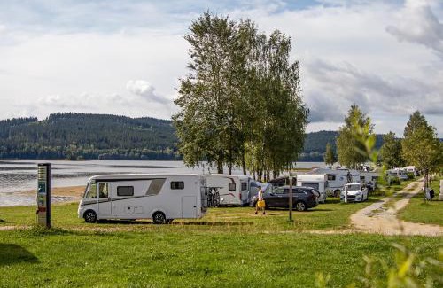 Lipno nad Vltavou Other | Pet-Friendly Camping Lipno Modřín for Family Adventures