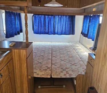 Shabla Other | Discover Camping Malkiq Oazis: Oceanfront Bliss for Families