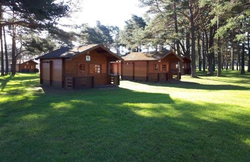 Toila Other | Pet-Friendly Camping Männisalu with Oceanfront Views