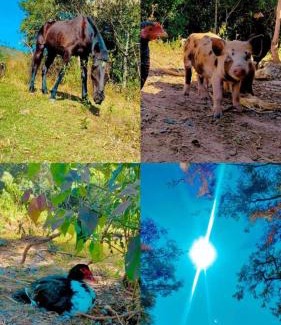Sao Thome das Letras Other | Relaxing Camping Nhá Chica: Pet-Friendly with Pool Access