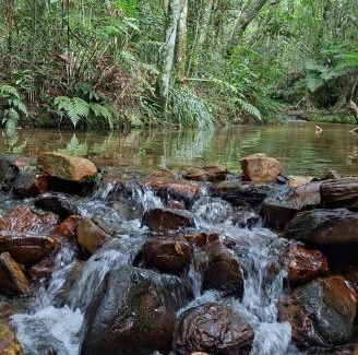 Sao Thome das Letras Other | Relaxing Camping Nhá Chica: Pet-Friendly with Pool Access