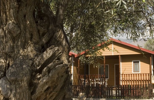 Orgiva RV Rental | Pet-Friendly Retreat at Camping Orgiva with Pool & Spa