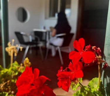 Miami Platja Other | Pet-Friendly Camping Playa y Fiesta with Oceanfront Views