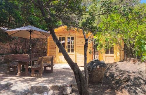 Sas Linnas Siccas Other | Oceanfront Camping Porto Sosàlinos with Breakfast Included