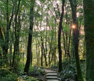 Ramales de la Victoria Other | Top-Rated Camping Ramales: Pet-Friendly Retreat Awaits