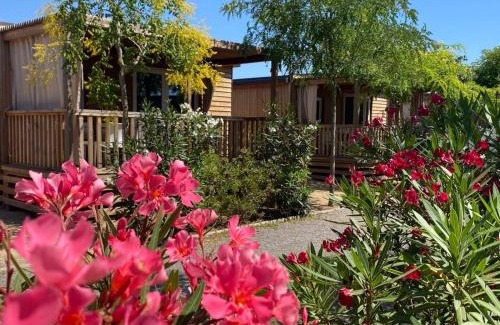 Malgrat de Mar Other | Experience Camping Resort Els Pins with Oceanfront Views