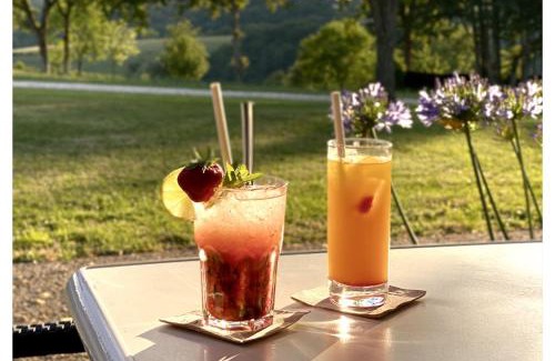 Rouffignac-Saint-Cernin-de-Reilhac Resort | Pet-Friendly Camping Rouffignac-St-Cernin with Pool & Hot Tub