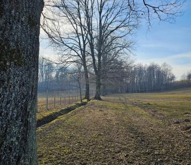Bosanska Dubica Other | Camping Stevin ranc