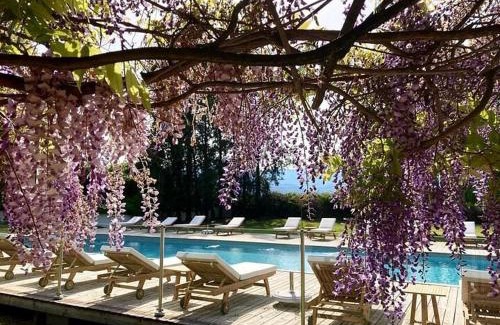 Ghisonaccia Other | Idyllic Camping U Casone: Pet Friendly with Ocean View