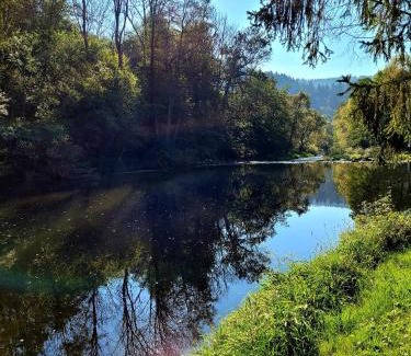 Obereisenbach Other | Discover Camping Vallee de l'Our: Pet & Child Friendly Retreat