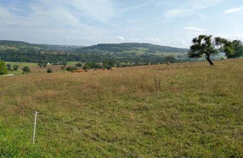 Gersheim Other | Family-Friendly Camping Walsheim with Pool & Restaurant
