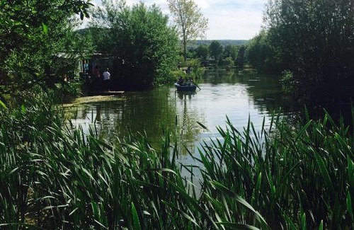 Rothesutte Other | Enjoy Nature at Campingplatz am Hünstein: Pet Friendly Haven