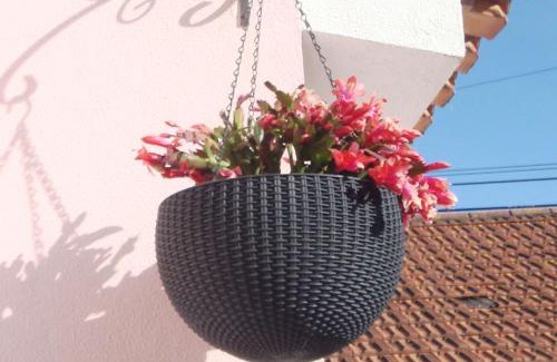 Atalaia House | Pet-Friendly Oasis at Campo de Oleandros with Ocean Views