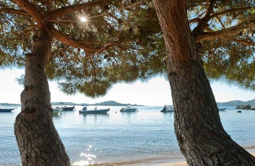 Porto-Vecchio Resort | Relax at Campo Di Mare: Oceanfront Bliss with Pool Access