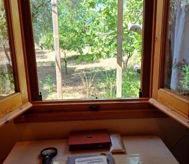 Eva Other | Ideal Messénia Guest House with Family & Pet-Friendly Amenities