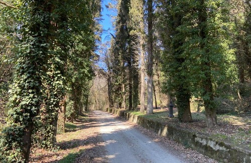 Cincelli Apartment | Discover Campoleone 11: Historic Apartment near Arezzo
