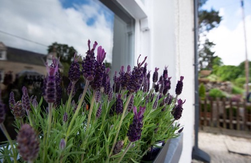 Jedburgh Cottage | Idyllic Campsie Cottage: Perfect for Families & Pets