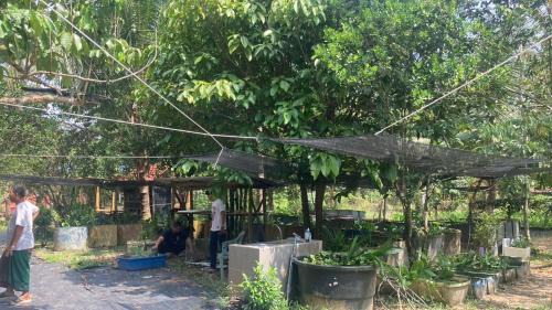 Kampung Pasir Semut Other | Kid-Friendly Campsite House on a Scenic Farm