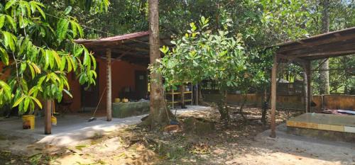 Kampung Pasir Semut Other | Kid-Friendly Campsite House on a Scenic Farm