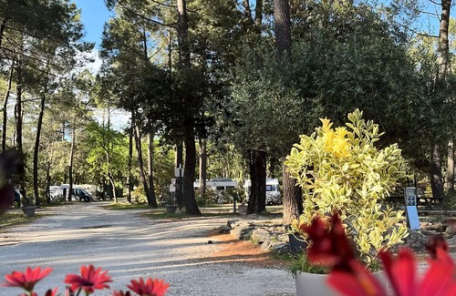Bollene House | Cozy Mobile Home at Campsite La Simioune - Family-Friendly Escape