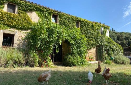 Santa Coloma de Farners House | Discover Can Canaleta Hotel Rural: Oceanfront Bliss Awaits