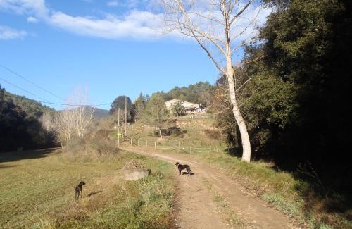 Sant Pere de Vilamajor Apartment | Relax at Can Parròquia: 4-Star Stay with Accessibility Options